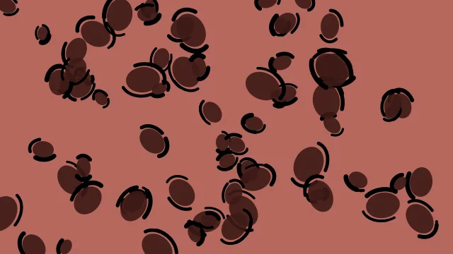 Espresso leopard desktop wallpaper — free 4K espresso wallpaper 3840x2160