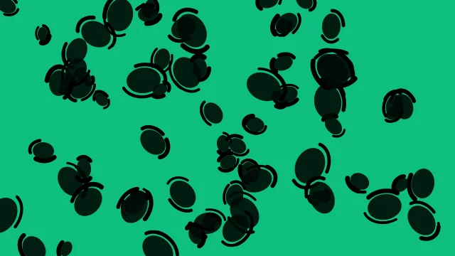 Evergreen leopard print background — free HD evergreen color wallpaper 1920x1080