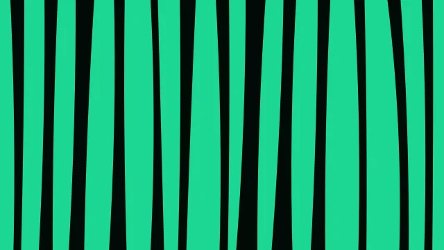 Evergreen zebra print background — free HD evergreen color wallpaper 1920x1080