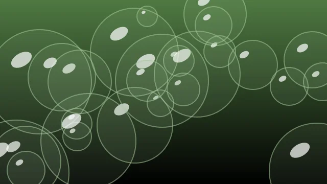 Fern bubbles desktop wallpaper — free 4K fern wallpaper 3840x2160