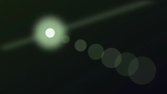 Fern flare desktop wallpaper — free 4K fern wallpaper 3840x2160