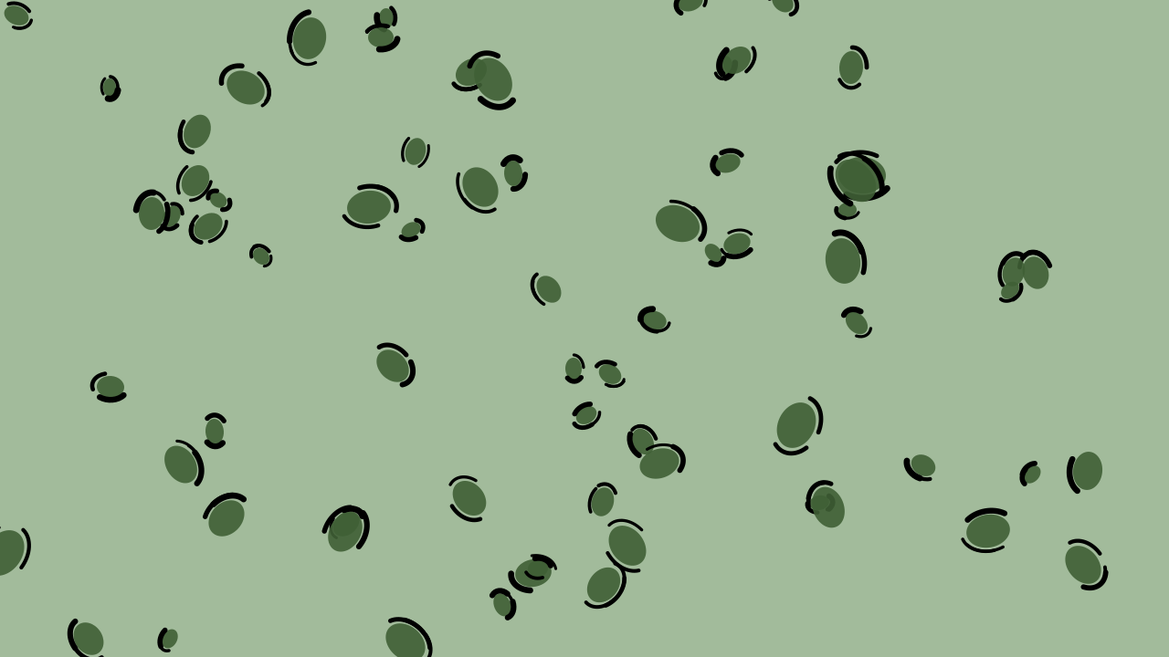 Fern leopard print background — free HD fern color wallpaper 1920x1080