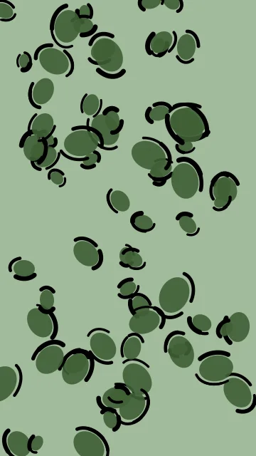 Fern leopard phone wallpaper — free HD fern mobile wallpaper 1080x1920