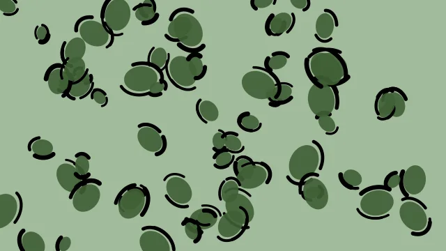 Fern leopard desktop wallpaper — free 4K fern wallpaper 3840x2160