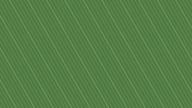Fern lines desktop wallpaper — free 4K fern wallpaper 3840x2160