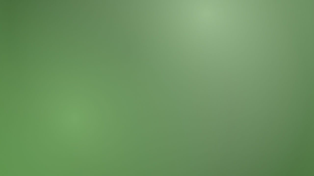 Fern mesh background — free HD fern color wallpaper 1920x1080