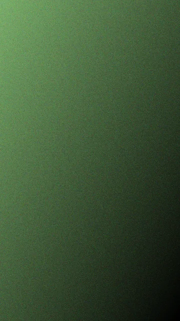 Fern noise phone wallpaper — free HD fern mobile wallpaper 1080x1920