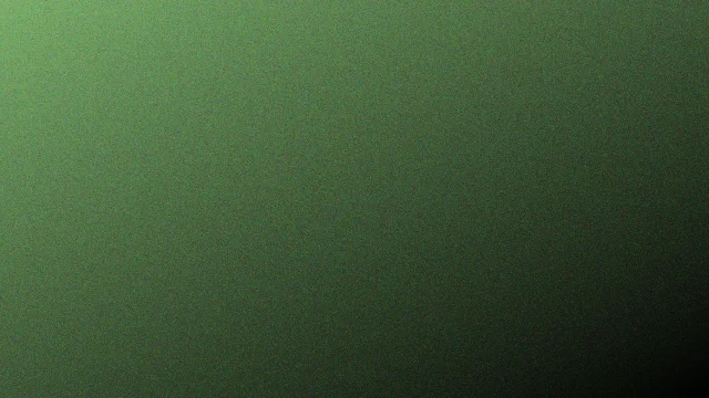 Fern noise desktop wallpaper — free 4K fern wallpaper 3840x2160