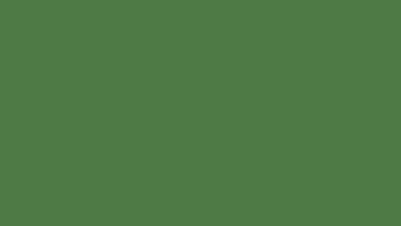 Fern plain solid background — free HD fern color wallpaper 1920x1080