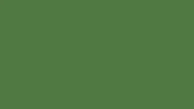 Fern solid desktop wallpaper — free 4K fern wallpaper 3840x2160