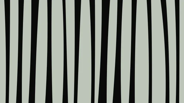 Fern zebra desktop wallpaper — free 4K fern wallpaper 3840x2160