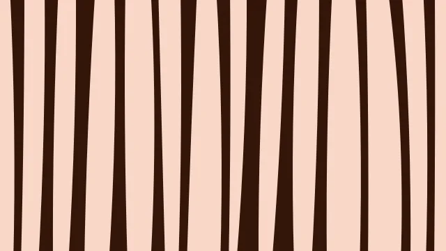 Flame Orange zebra print background — free HD flame orange color wallpaper 1920x1080