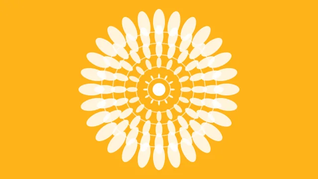 Floral White mandala background — free HD floral white color wallpaper 1920x1080