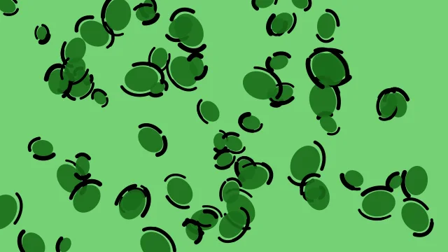 Forest Green leopard print background — free HD forest green color wallpaper 1920x1080