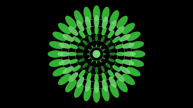 Forest Green mandala background — free HD forest green color wallpaper 1920x1080