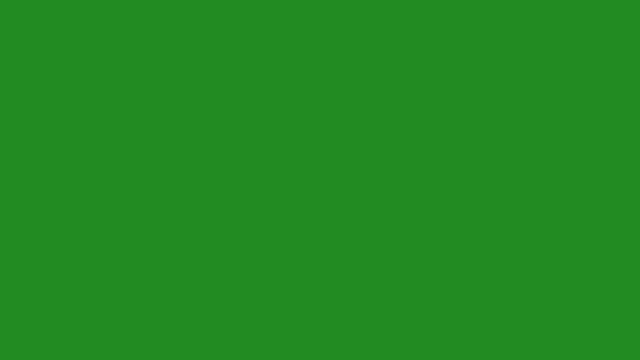 Forest Green plain solid background — free HD forest green color wallpaper 1920x1080
