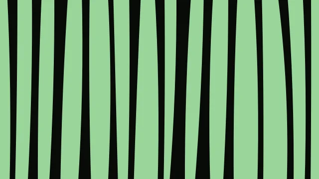 Forest Green zebra print background — free HD forest green color wallpaper 1920x1080
