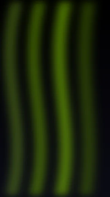 Forest Moss aurora phone wallpaper — free HD forest moss mobile wallpaper 1080x1920