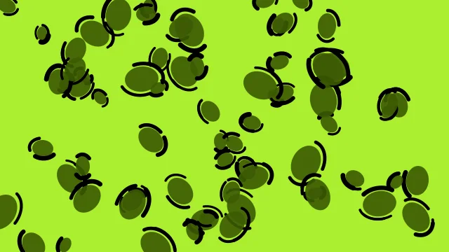 Forest Moss leopard print background — free HD forest moss color wallpaper 1920x1080
