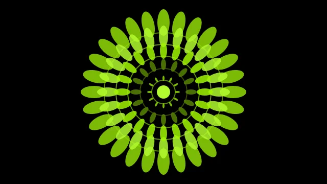Forest Moss mandala background — free HD forest moss color wallpaper 1920x1080