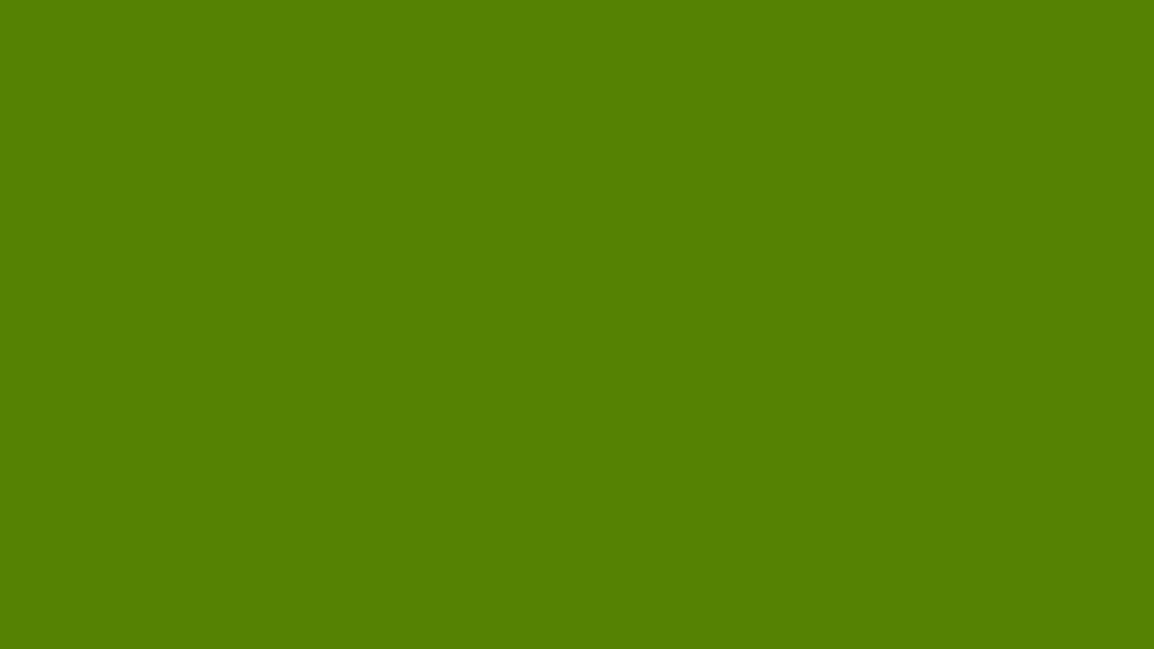Forest Moss plain solid background — free HD forest moss color wallpaper 1920x1080