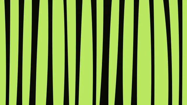 Forest Moss zebra print background — free HD forest moss color wallpaper 1920x1080