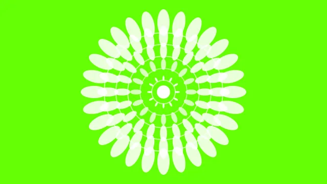 Frosted Mint mandala background — free HD frosted mint color wallpaper 1920x1080