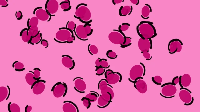 Fuchsia Flame leopard print background — free HD fuchsia flame color wallpaper 1920x1080