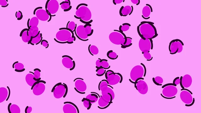 Fuchsia leopard desktop wallpaper — free 4K fuchsia wallpaper 3840x2160