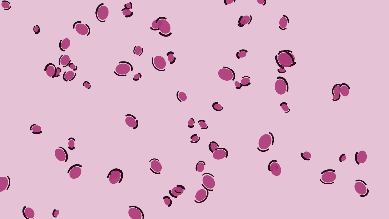Fuchsia Plum leopard print background — free HD fuchsia plum color wallpaper 1920x1080