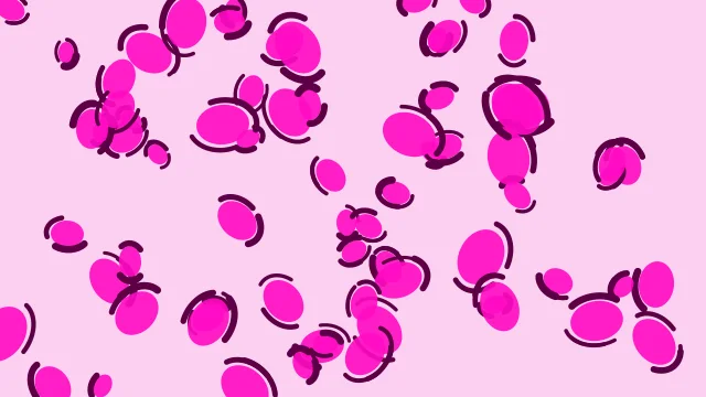 Fuchsia Pop leopard print background — free HD fuchsia pop color wallpaper 1920x1080