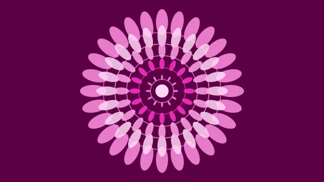 Fuchsia Pop mandala background — free HD fuchsia pop color wallpaper 1920x1080