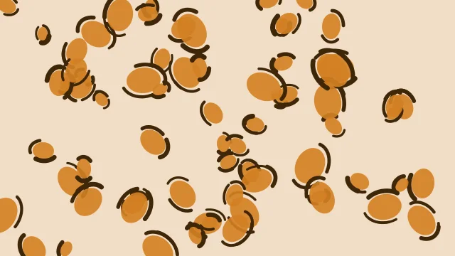 Golden Apricot leopard print background — free HD golden apricot color wallpaper 1920x1080