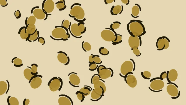 Golden Bronze leopard print background — free HD golden bronze color wallpaper 1920x1080