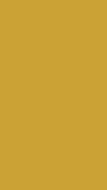 Golden Bronze solid phone wallpaper — free HD golden bronze mobile wallpaper 1080x1920
