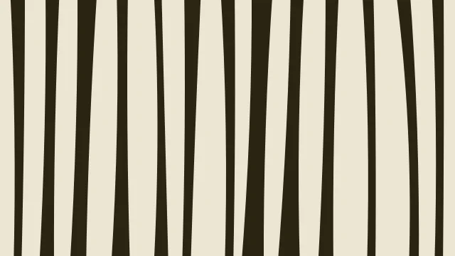 Golden Bronze zebra print background — free HD golden bronze color wallpaper 1920x1080