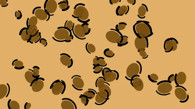 Golden Earth leopard print background — free HD golden earth color wallpaper 1920x1080