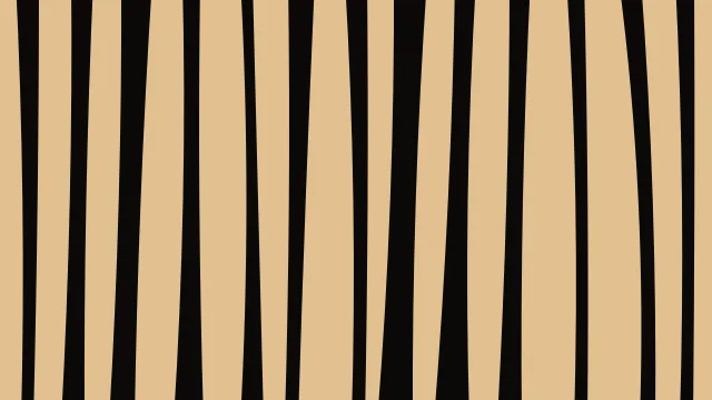 Golden Earth zebra print background — free HD golden earth color wallpaper 1920x1080