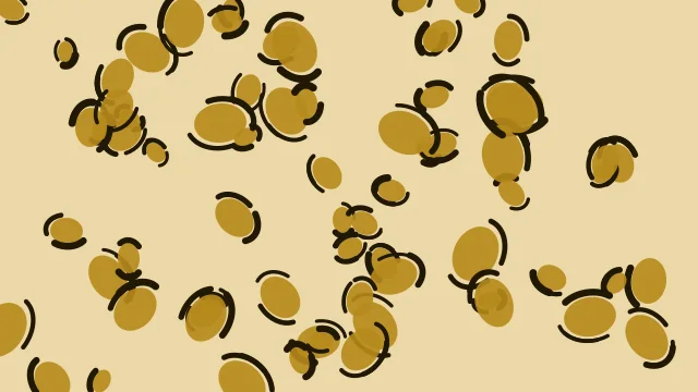 Golden Rod leopard print background — free HD golden rod color wallpaper 1920x1080