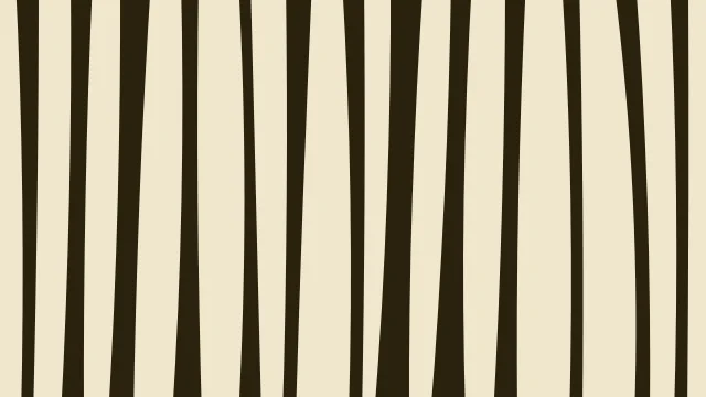 Golden Rod zebra print background — free HD golden rod color wallpaper 1920x1080
