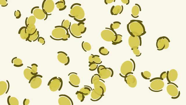Golden Sand leopard desktop wallpaper — free 4K golden sand wallpaper 3840x2160