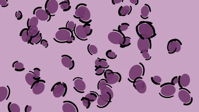 Grape Soda leopard print background — free HD grape soda color wallpaper 1920x1080