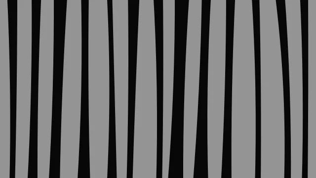 Graphite zebra print background — free HD graphite color wallpaper 1920x1080