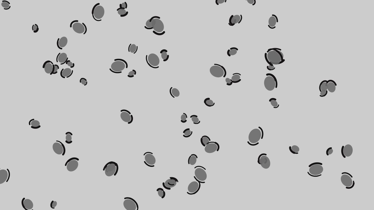 Gray leopard print background — free HD gray color wallpaper 1920x1080