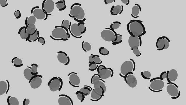 Gray leopard print background — free HD gray color wallpaper 1920x1080