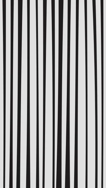 Gray zebra phone wallpaper — free HD gray mobile wallpaper 1080x1920