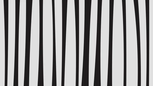 Gray zebra print background — free HD gray color wallpaper 1920x1080