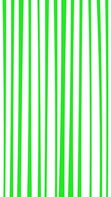 Green 100 zebra phone wallpaper — free HD green 100 mobile wallpaper 1080x1920