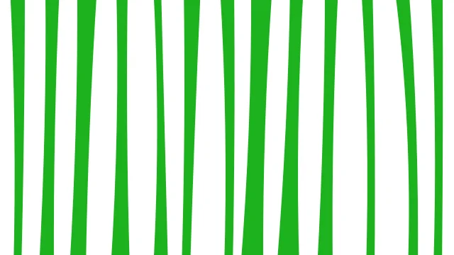 Green 200 zebra desktop wallpaper — free 4K green 200 wallpaper 3840x2160