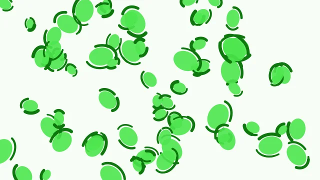 Green 300 leopard desktop wallpaper — free 4K green 300 wallpaper 3840x2160